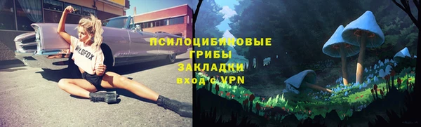 а пвп мука Гусев