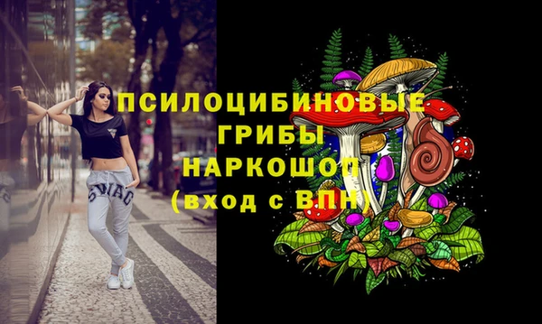 гашик Гусиноозёрск