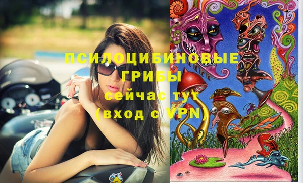 а пвп мука Гусев