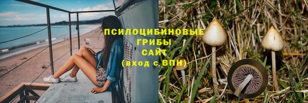 первитин Гусь-Хрустальный