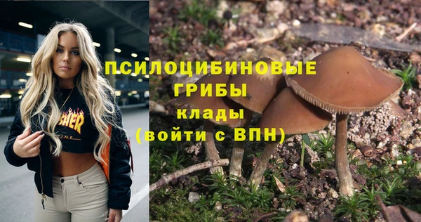гашик Гусиноозёрск
