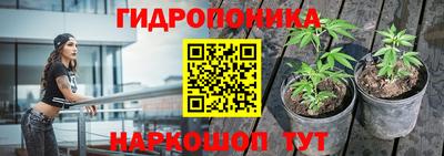apvp Гай