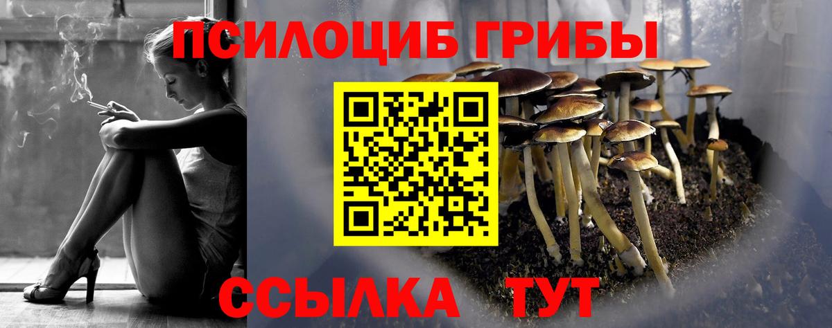 Дзержинский  купить наркотики сайты  Вход с VPN  Псилоцибиновые грибы MAGIC MUSHROOMS 