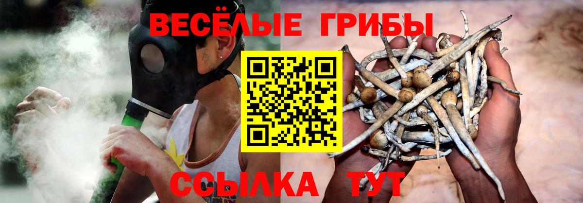 Галлюциногенные грибы MAGIC MUSHROOMS  Дзержинский 
